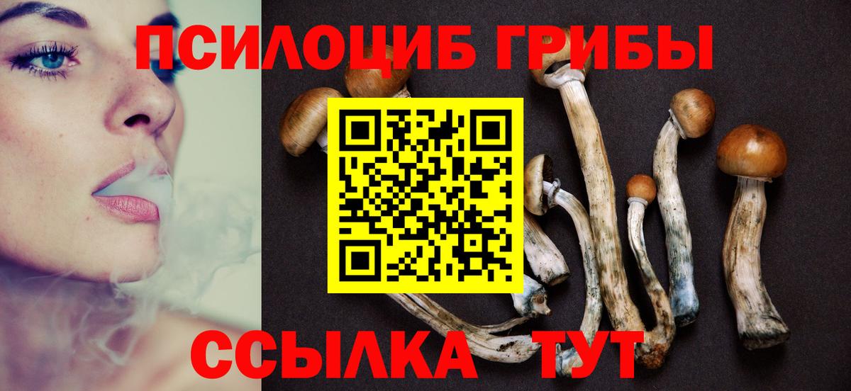 Галлюциногенные грибы MAGIC MUSHROOMS  Псилоцибиновые грибы GOLDEN TEACHER  Славянск-на-Кубани  Вход с VPN 